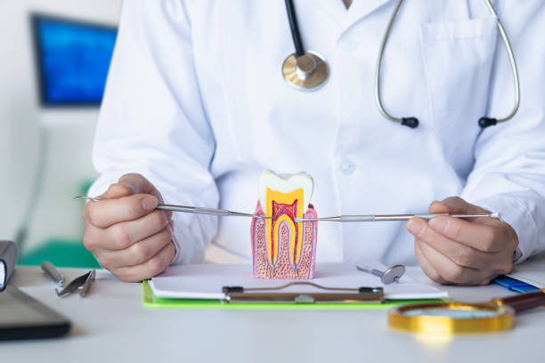 Best Emergency Dentist for Lost Fillings or Crowns in Mcgraw, NY